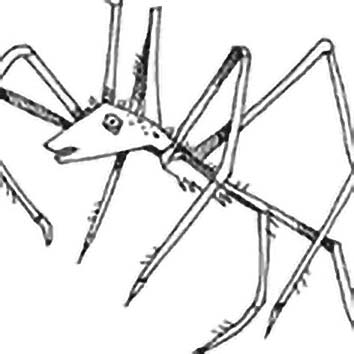 A picture showing the legend of ANANSI taken from our African mythology archives. Illustration by Chas Saunders. Read the story below or search the index for more African Gods, African Goddesses, heroes, demons and monsters!