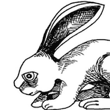 A picture showing the legend of HARE taken from our African mythology archives. Illustration by Chas Saunders. Read the story below or search the index for more African Gods, African Goddesses, heroes, demons and monsters!