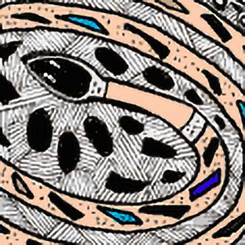 A picture showing the legend of RAINBOW-SNAKE taken from our Australian mythology archives. Illustration by Chas Saunders. Read the story below or search the index for more Australian Gods, Australian Goddesses, heroes, demons and monsters!